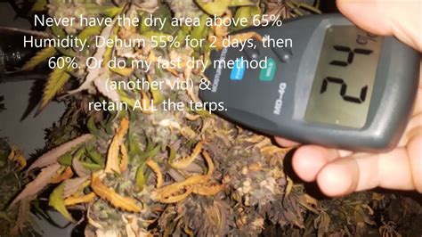 moisture meter cannabis|moisture meter for marijuana buds.